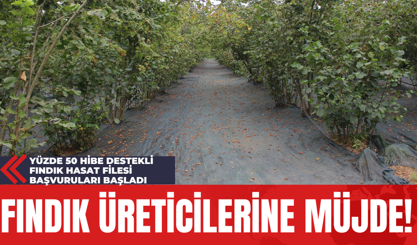 Fındık Üreticilerine Müjde! Yüzde 50 Hibe Destekli Fındık Hasat Filesi Başvuruları Başladı