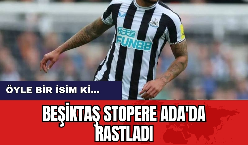 Beşiktaş Stopere Ada'da rastladı