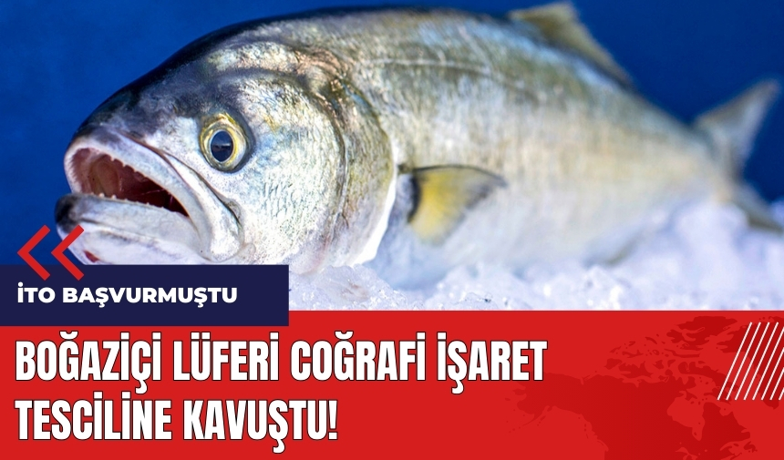 Boğaziçi Lüferi coğrafi işaret tesciline kavuştu