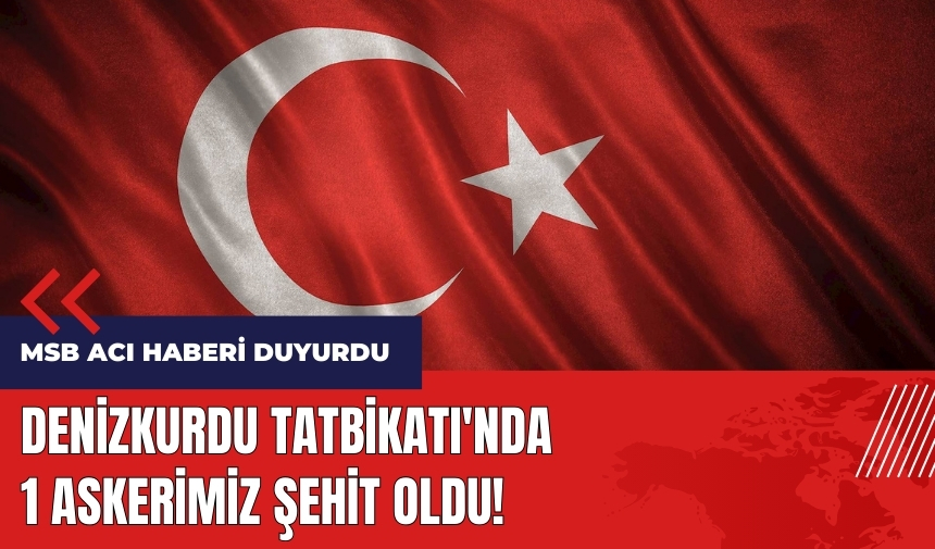 Denizkurdu Tatbikatı'nda 1 askerimiz şehit oldu!