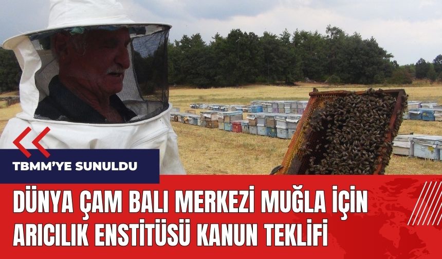 Dünya Çam balı merkezi Muğla için Arıcılık Enstitüsü kanun teklifi