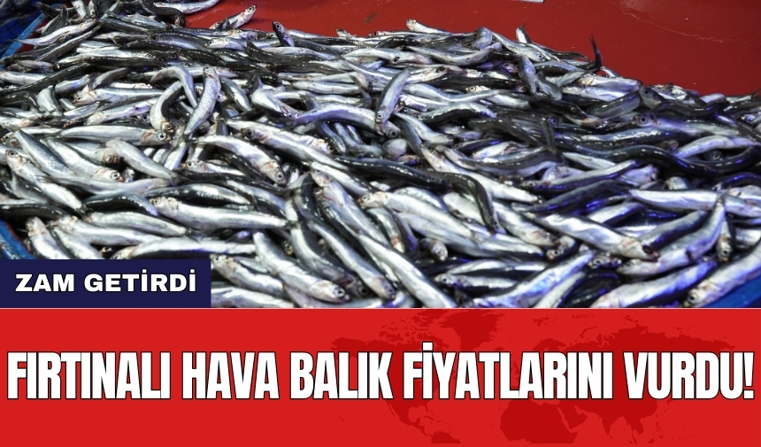 Fırtınalı hava balık fiyatlarını vurdu!