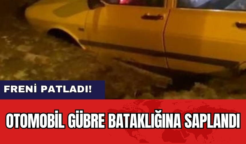 Freni patlayan otomobil gübre bataklığına saplandı