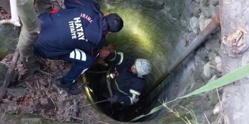 Hatay Arsuz'da Kuyuya Düşen Yavru Köpek Böyle Kurtarıldı 