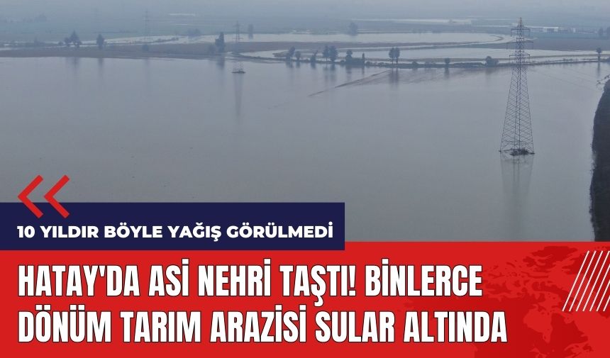 Hatay'da Asi Nehri taştı! Binlerce dönüm tarım arazisi sular altında