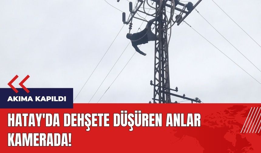 Hatay'da dehşete düşüren anlar kamerada