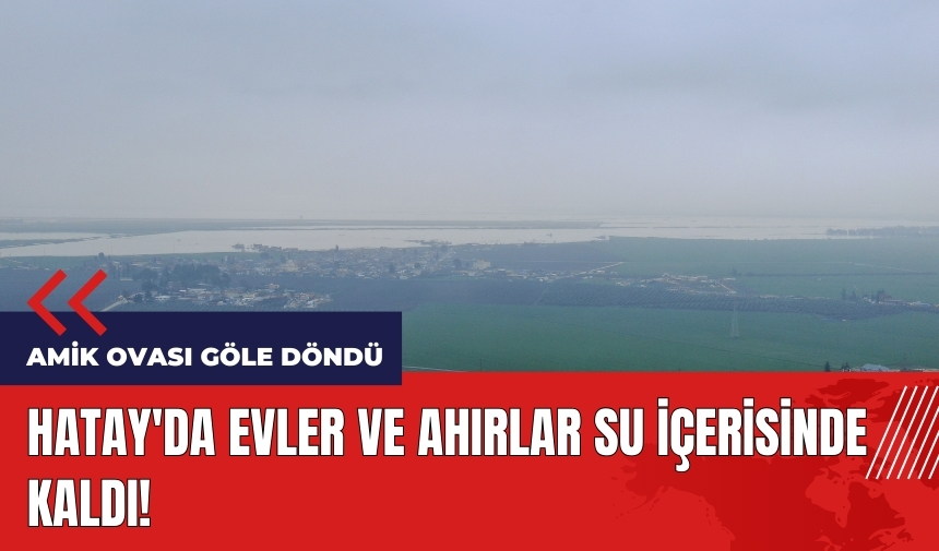 Hatay'da evler ve ahırlar su içerisinde kaldı