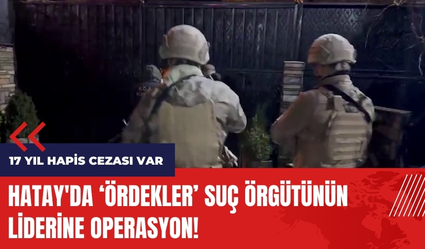 Hatay'da Ördekler suç örgütünün liderine operasyon!