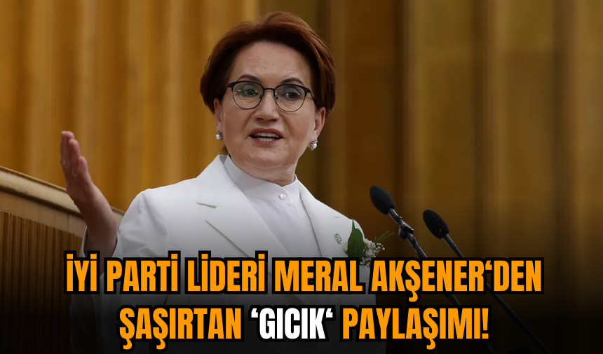 Meral Akşener'den şaşırtan 'Gıcık' paylaşımı!