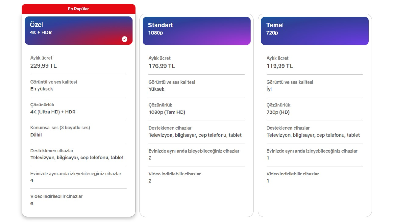 Netflix abonelik ücretlerinde büyük artış