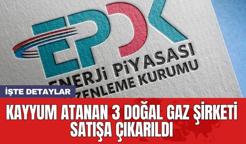 Kayyum atanan 3 doğal gaz şirketi satışa çıkarıldı