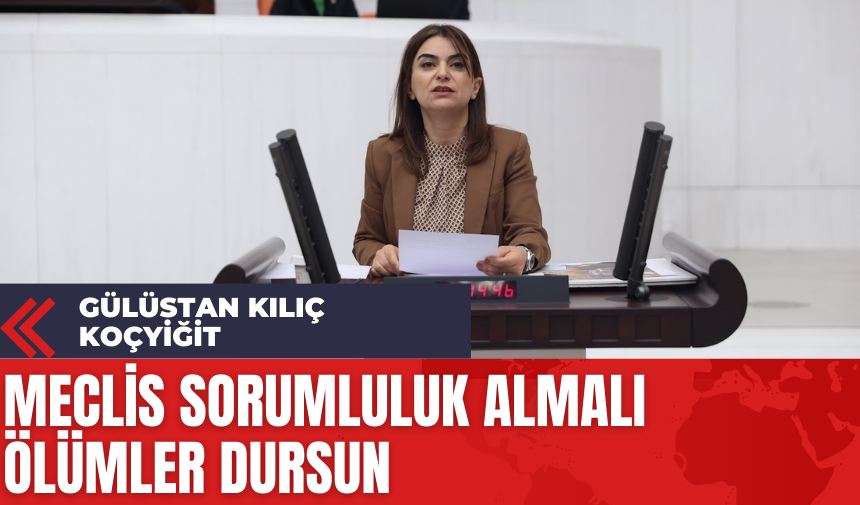 Gülüstan Kılıç Koçyiğit: Meclis Sorumluluk Almalı Ölümler Dursun