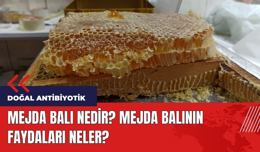 Mejda balı nedir? Mejda balının faydaları neler?