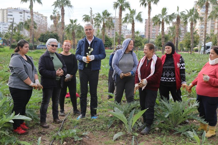 Mersin Mezitli'de Kadınlar Enginar Üretiyor