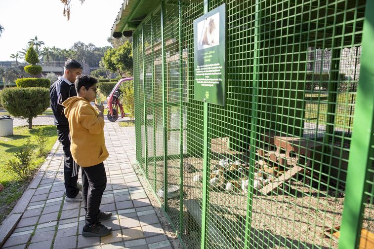 Mersin Tarsus Doğa Parkı Ziyaretçi Rekoru Kırdı 