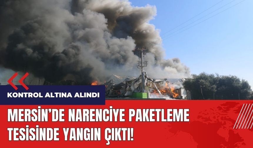 Mersin'de narenciye paketleme tesisinde yangın çıktı!