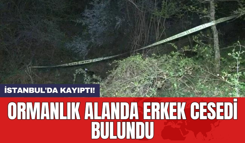 Ağaca asılı halde ormanlık alanda erkek ces*di bulundu