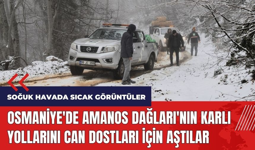 Osmaniye'de Amanos Dağları'nın karlı yollarını can dostları için aştılar