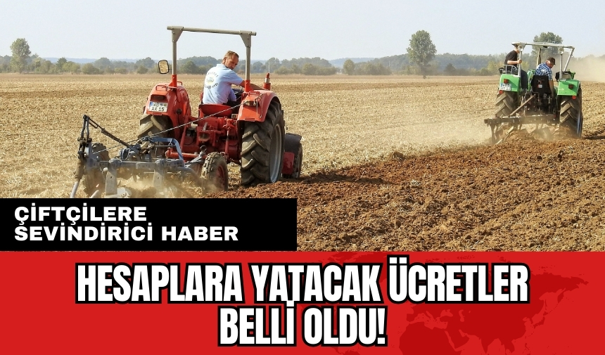 Çiftçilere gülümseten haber! Hesaplara yatacak ücretler belli oldu!