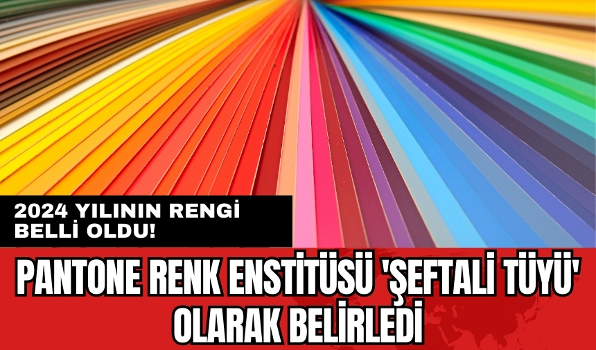 2024 yılının rengi belli oldu! Pantone Renk Enstitüsü 'Şeftali Tüyü' olarak belirledi