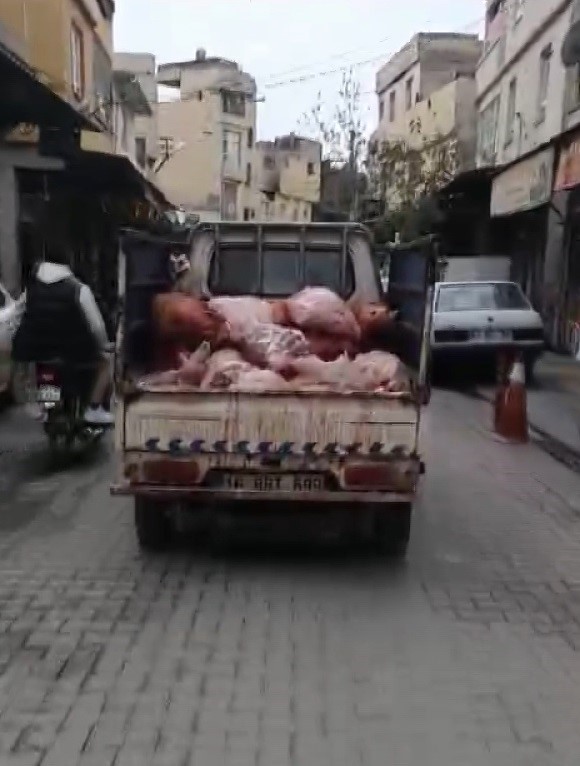 Şanlıurfa’nın Eyyübiye Ilçesinde Sakatatların Kamyonet Kasasında Hijyen Kurallarına Aykırı Şekilde Taşınması Sosyal Medyada Gündem Oldu.dcfvfg