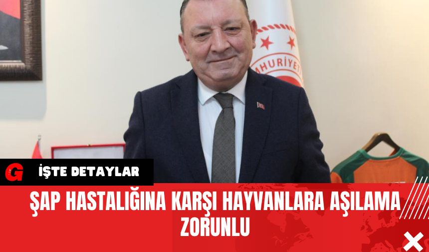 Şap Hastalığına Karşı Hayvanlara Aşılama Zorunlu