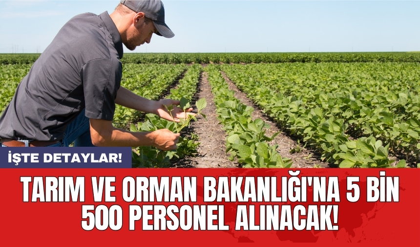 Tarım ve Orman Bakanlığı'na 5 bin 500 personel alınacak!