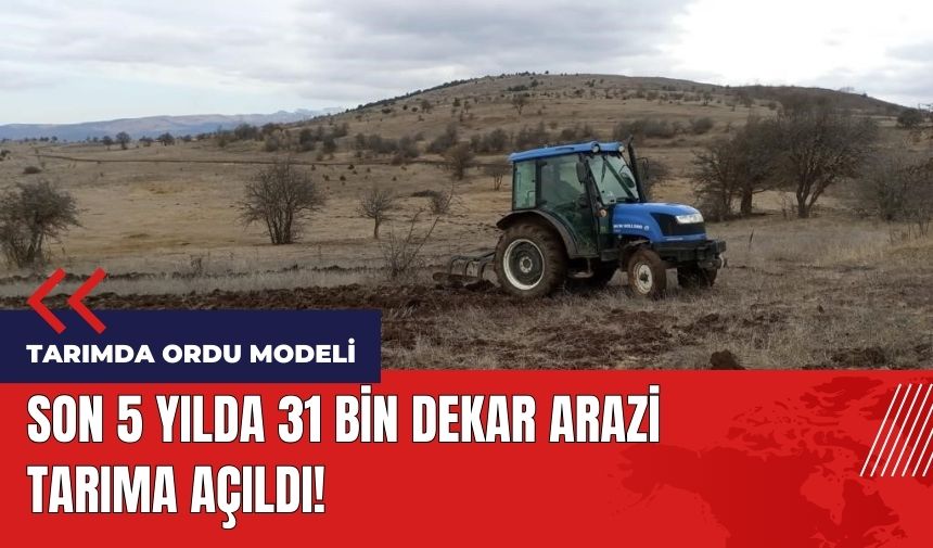 Tarımda Ordu Modeli! 5 yılda 31 bin dekar arazi tarıma açıldı