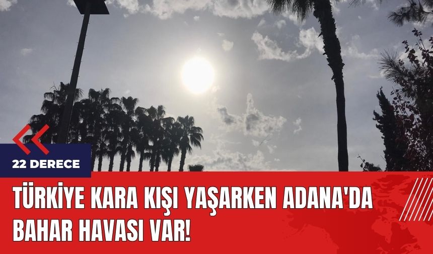 Türkiye kara kışı yaşarken Adana'da bahar havası var