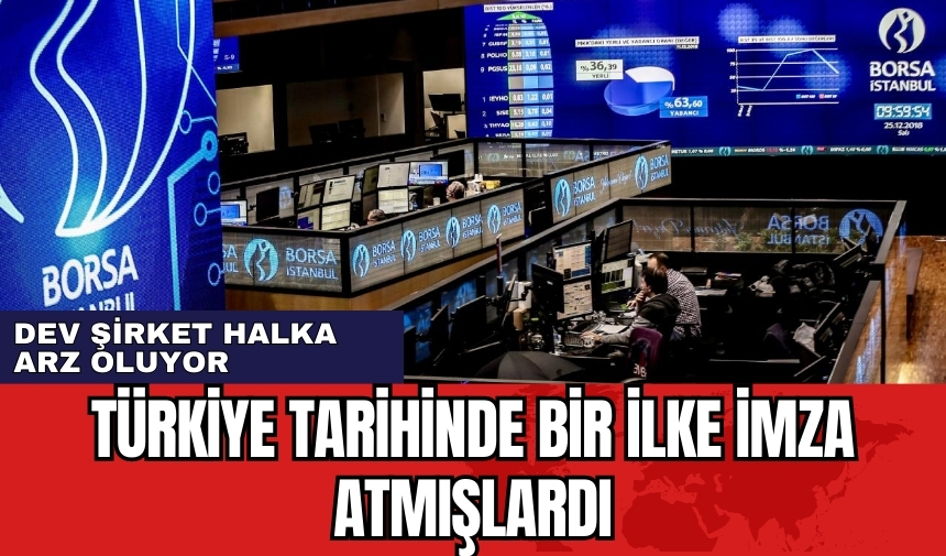 Dev madencilik şirketi halka arz oluyor