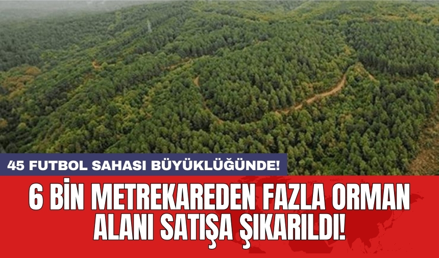 6 bin metrekareden fazla orman alanı satışa şıkarıldı!