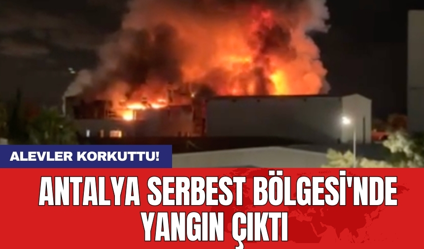 Alevler Korkuttu! Antalya Serbest Bölgesi'nde Yangın Çıktı