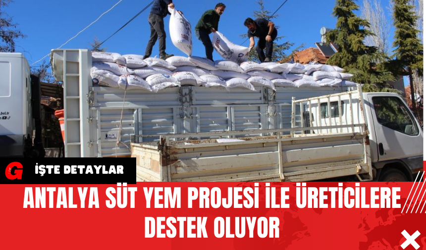 Antalya Süt Yem Projesi ile Üreticilere Destek Oluyor