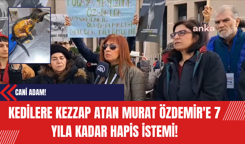 Kedilere Kezzap Atan Murat Özdemir'e 7 Yıla Kadar Hapis istemi