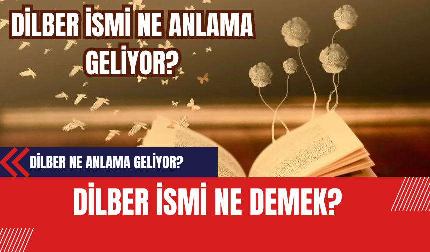 Dilber İsmi Ne Demek? Dilber İsmi Anlamı Özellikleri Analizi ve Kökeni?