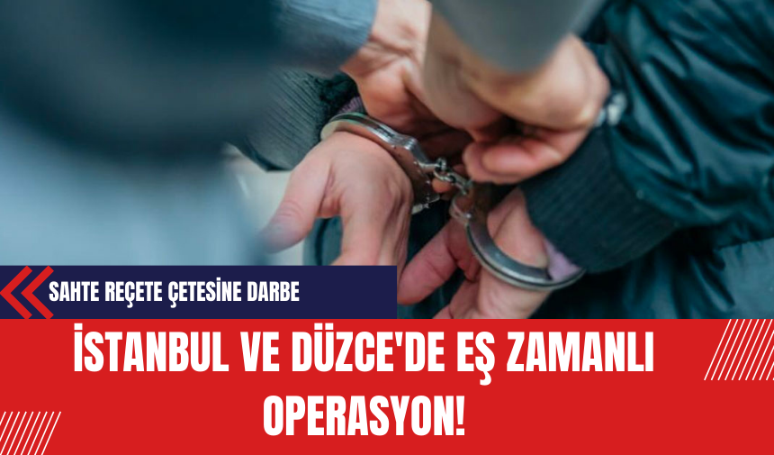 İstanbul ve Düzce'de Eş Zamanlı Operasyon: Sahte Reçete Çetesine Darbe