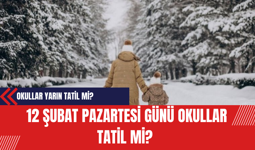 İstanbul'da Okullar Yarın Tatil mi? 12 Şubat Pazartesi Günü Okullar Tatil mi?