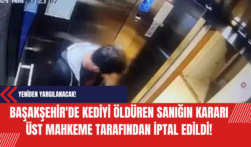 Başakşehir'de Kediyi Öldüren Sanığın Kararı Üst Mahkeme Tarafından İptal Edildi!