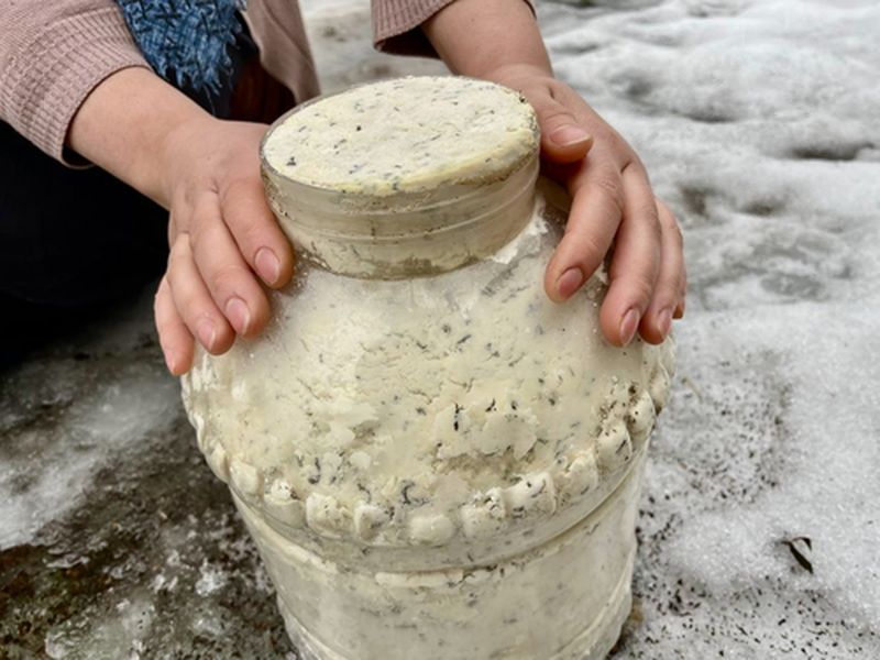 Asırlık Gelenek! Aylarca Toprağa Gömülen Peynir 