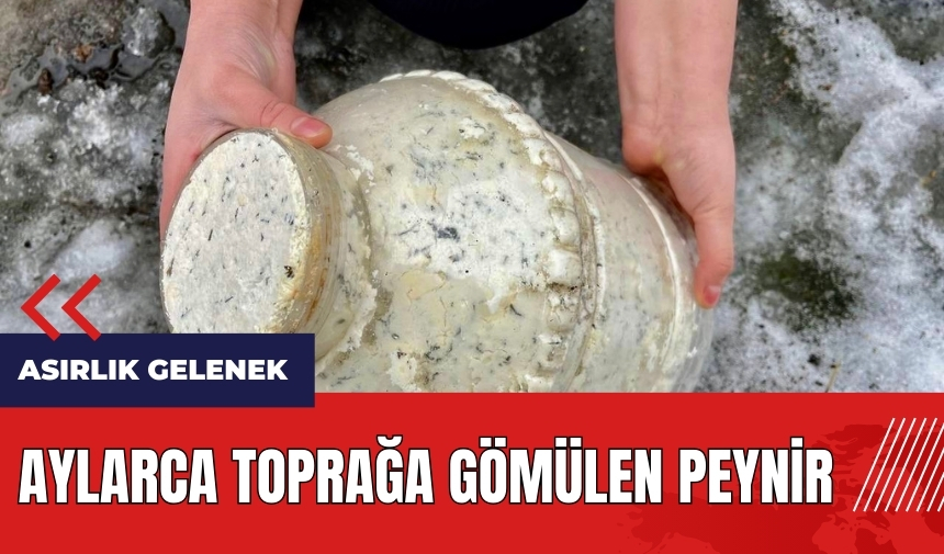 Asırlık gelenek! Aylarca toprağa gömülen peynir