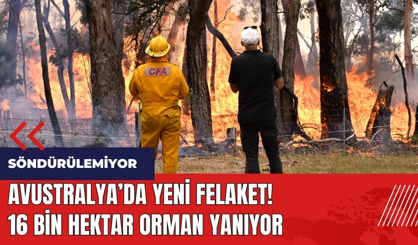 Avustralya'da yeni felaket! 16 bin hektar orman yanıyor