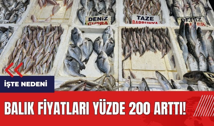 Balık fiyatları yüzde 200 arttı! İşte nedeni