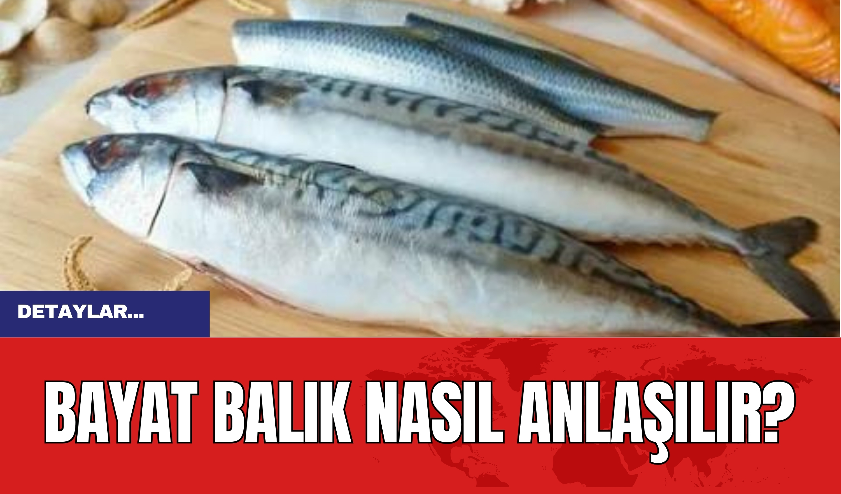 Bayat Balık Nasıl Anlaşılır?