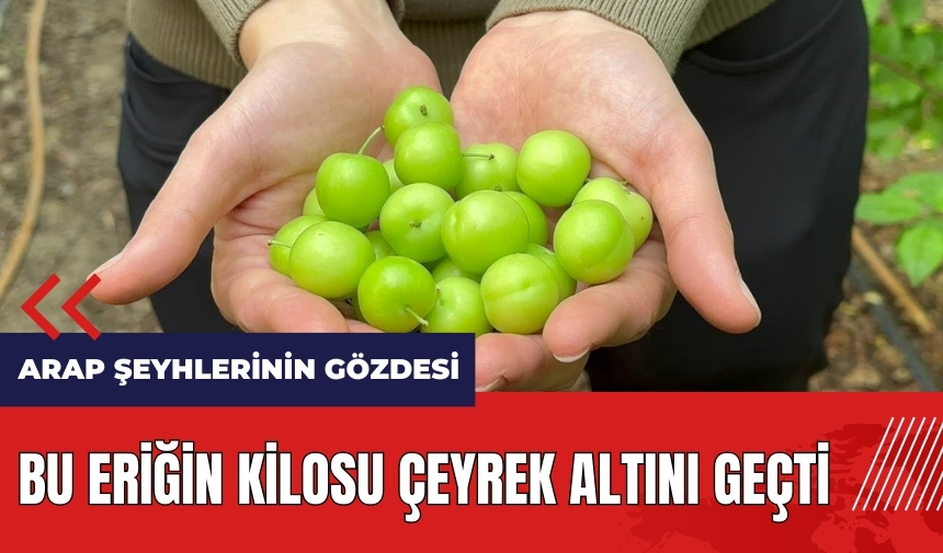 Bu eriğin kilosu çeyrek altını geçti