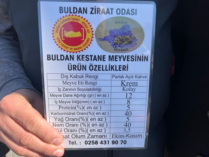 Buldan Kestanesi Diye Çin Kestanesi Satın Almayın 