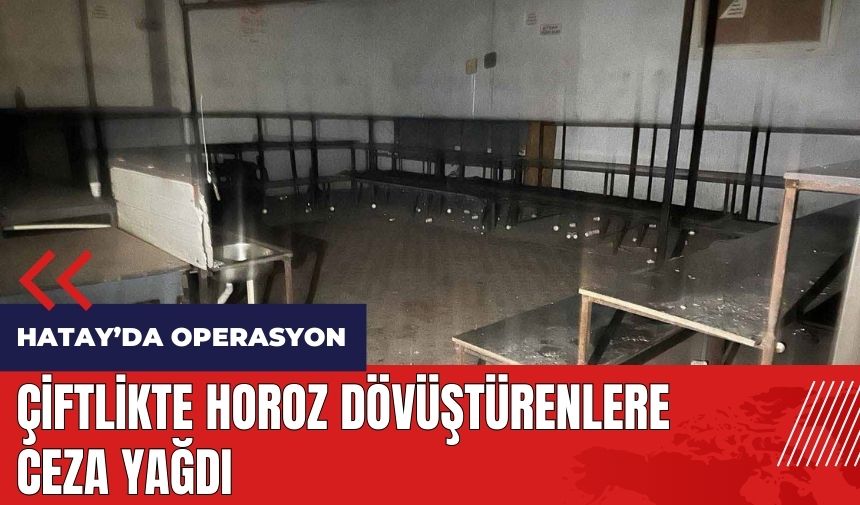 Çiftlikte horoz dövüştürenlere ceza yağdı