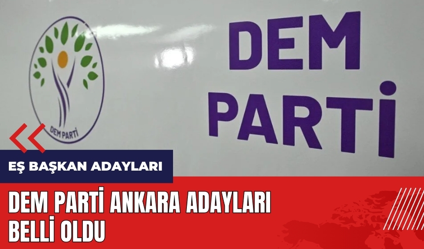 DEM Parti Ankara eş başkan adayları belli oldu