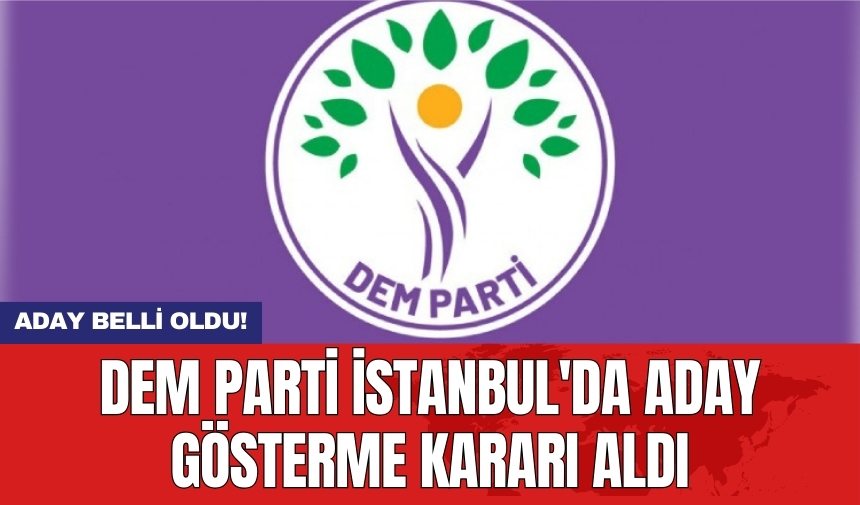 DEM Parti İstanbul'da aday gösterme kararı aldı