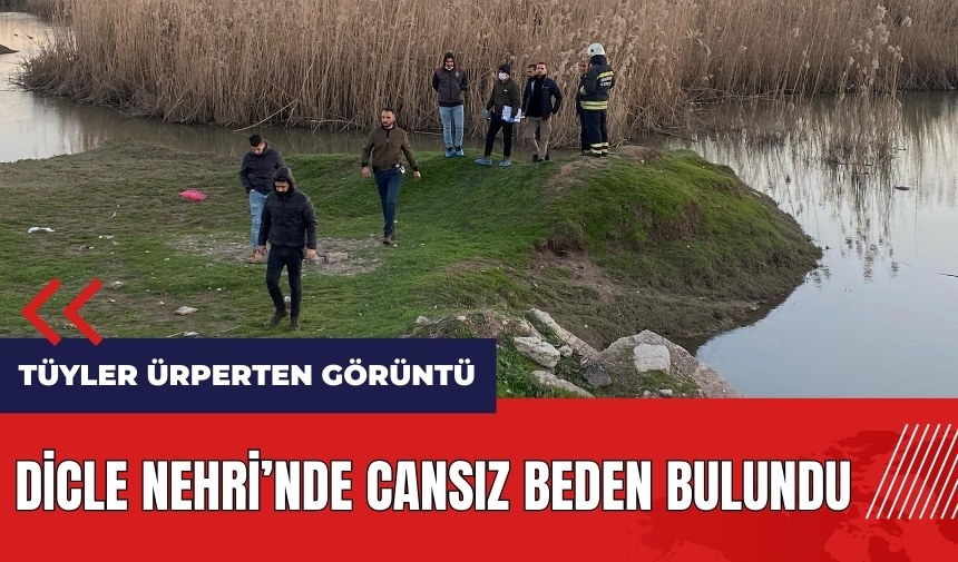 Dicle Nehri'nde cansız beden bulundu