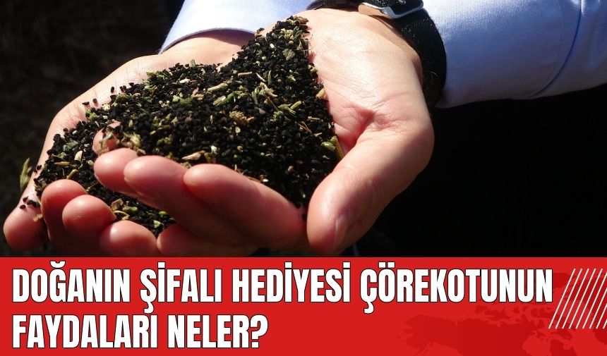 Doğanın şifalı hediyesi çörekotunun faydaları neler?